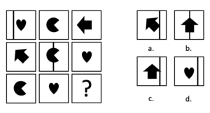 voorbeeld matrix iq test