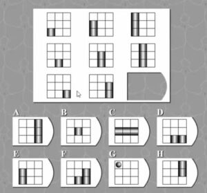 Voorbeeldvraag Ravens Progressive Matrices